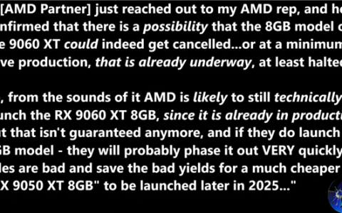 避免重蹈NVIDIA覆辙！曝AMD考虑取消RX 9060 XT 8GB版本