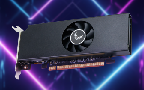 从未发布的AMD RX 6500入门显卡突然现世：满血核心、功耗仅55W