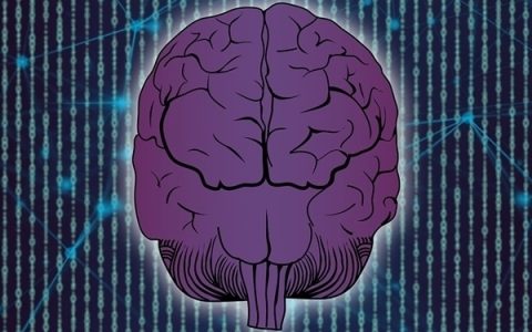 马斯克旗下Neuralink拟融资5亿美元：估值已达85亿美元