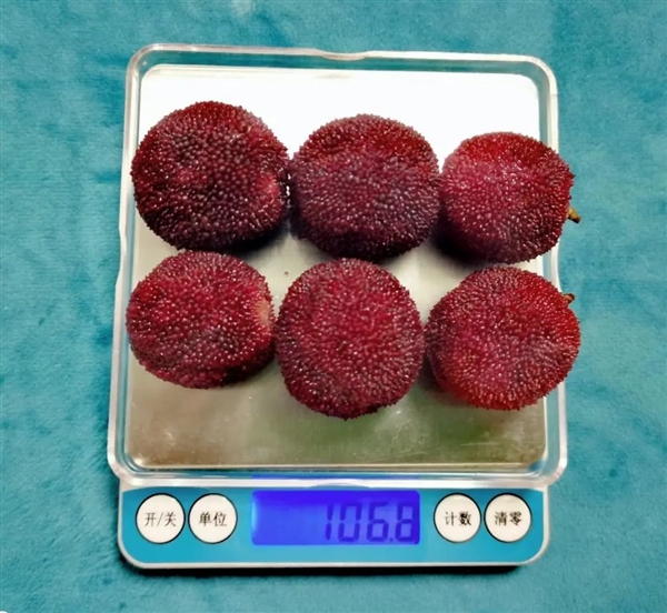 又到了吃虫 哦不！吃杨梅的季节了
