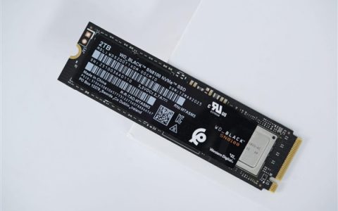 世界最快PCIe 5.0 SSD！闪迪WD_BLACK SN8100图赏