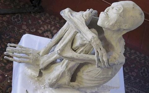 专家研究秘鲁“外星人木乃伊” 初步结论震撼：他们是真实的！