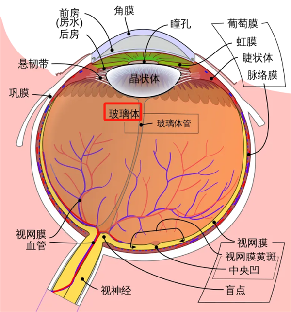 当代人 正在被这种“绝症”深深折磨