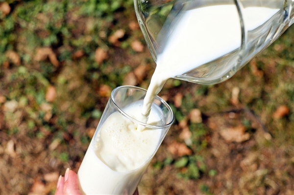 不要买配料表第一位是水的乳制品！