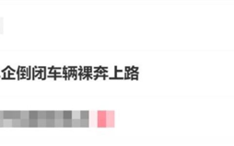 花17万买车后车企倒闭：车辆裸奔上路