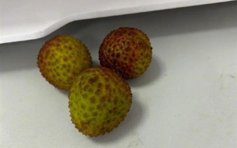 荔枝价格暴跌七成：因产量增加和物流成本降低