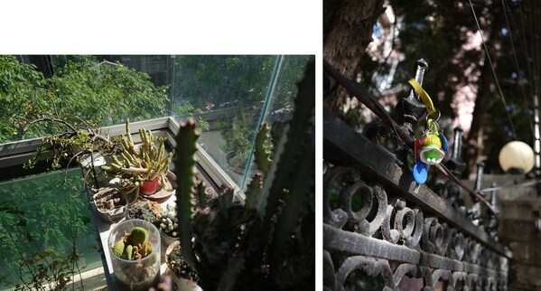 © 陆元敏｜使用FUJIFILM GFX100RF拍摄