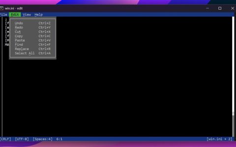 微软确认Windows 11预装软件+1：仅230KB的“Edit”文本编辑器