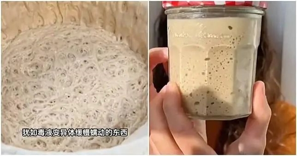 出租房里养牛 激励自己别当牛马 小伙3个月被房东赶走2次