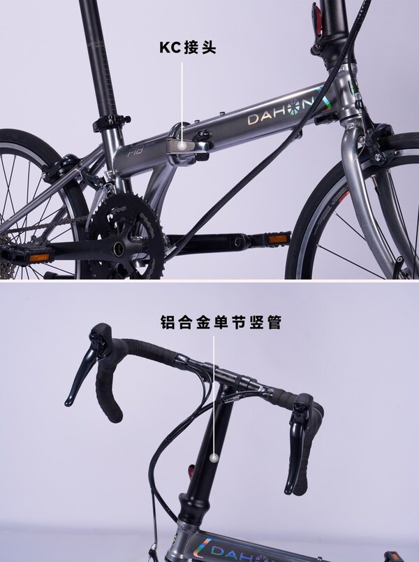大行Dahon