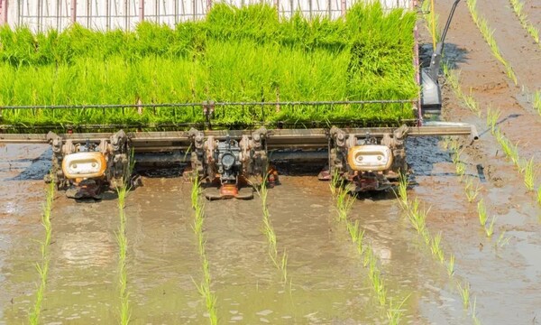 农机水田作业的"智慧大脑"----沃地泰FMA210，告别"经验种植"，开启精准高效农业之旅