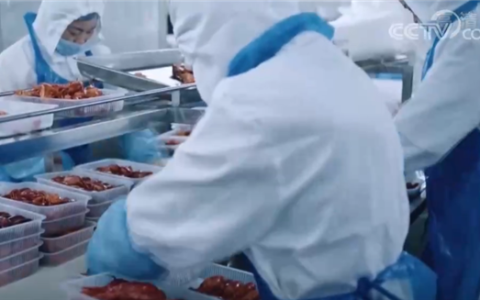 “四横四纵”国家冷链物流骨干通道网络形成：基地数量达105个