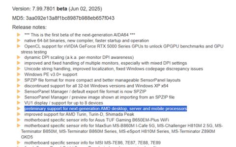 AIDA64全线初步支持AMD Zen6！会叫锐龙10000系列吗