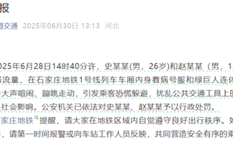 两男子地铁内穿病号服和绿巨石连体衣拍视频引恐慌 官方情况通报