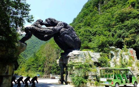 你心动吗！神农架景区招野人早八晚五 日薪500元 严禁说人话
