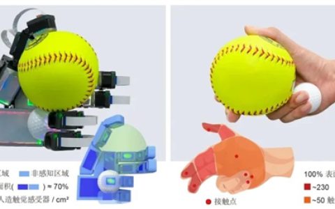 我国仿生手新突破：首次实现类人水平的自适应抓取