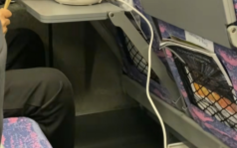 乘客在高铁上用电煮锅 12306回应：可携带但禁用