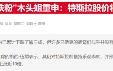 特斯拉暴跌后“木头姐”仍力挺：至少马斯克淡出白宫事务了
