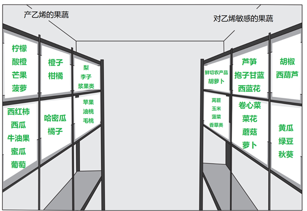 天儿再热 这些水果、蔬菜也不能放冰箱！切记切记