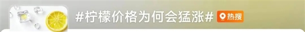 柠檬全面涨价 现在囤货卖给奶茶店还来得及吗