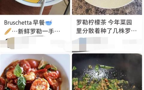 营养巨丰富！河南人的专属“猫薄荷”：我打赌你没吃过