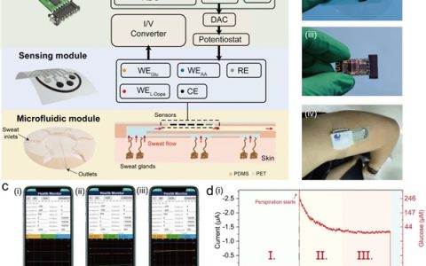 中科院研发可穿戴汗液监测系统：手机APP实时监测疾病