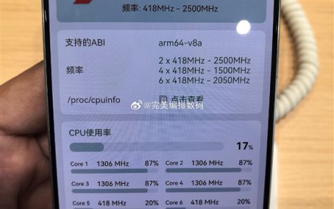 华为Pura 80处理器确认：搭载麒麟9010S