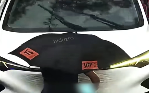 男子为方便进出小区车辆套牌 竟当着交警面更换车牌！结果惨了