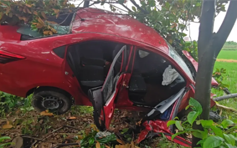 情侣吵架 女司机一脚油门飞车上树 自己脱困把男友留树上