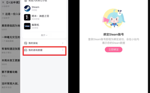 B站宣布绑定Steam账号功能上线 可展示游戏时长、库内游戏