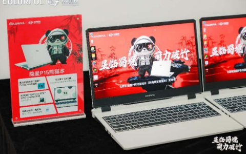 七彩虹限定熊猫游戏本首发8099元：熊猫主题设计 搭载星知岛AI
