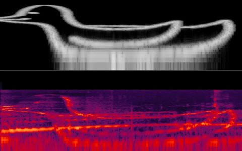 这都行！有人用鸟存储数据 速度可达2MB/s