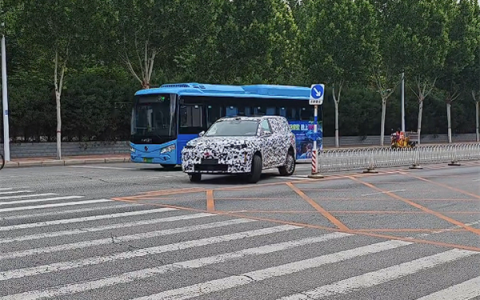 魏牌旗舰全尺寸SUV细节曝光：空悬+后轮转向 掉头丝滑非常