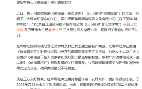 哇唧唧哇致歉！永久下架微短剧《偷偷藏不住之许你》