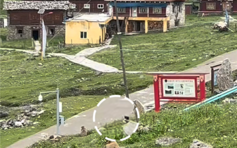 大疆Action 4被土拨鼠偷走 客服小姐姐都被逗笑了