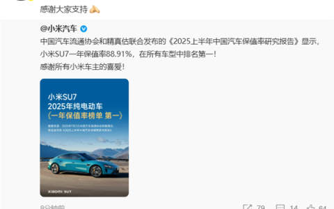 最新！中国纯电/插混车型一年保值率排名出炉：小米SU7、问界M9夺冠