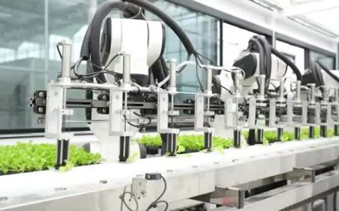 CCTV+：高科技农场在中国浙江实现蔬菜种植与采摘自动化