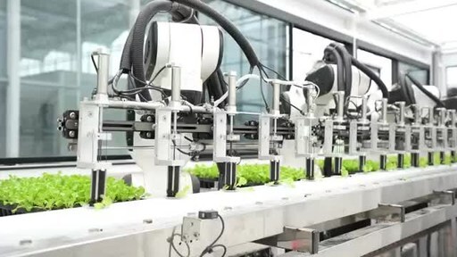 CCTV+：高科技农场在中国浙江实现蔬菜种植与采摘自动化