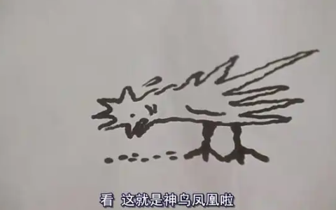 女子上班途中捡到“怪鸟” 酷似《唐伯虎点秋香》中的“神鸟凤凰”