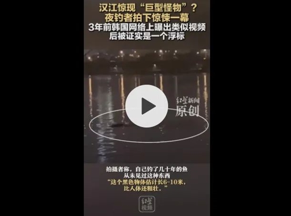 韩国汉江又发现“巨型水怪”！目击者称至少6米长：这可能是啥