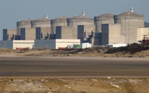 法国最大核电站因水母入侵导致设备停机：全站停运