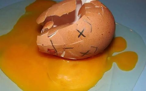 鸡蛋壳是怎么进化出来的 为什么那么容易碎