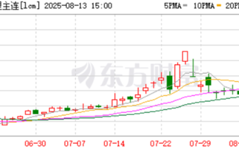 宁德时代锂矿停产：要把电车干涨价了吗