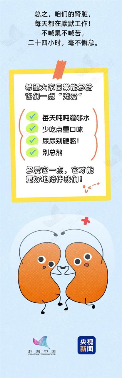 透支的肾是补不回来的！这6种行为最伤肾 快自检