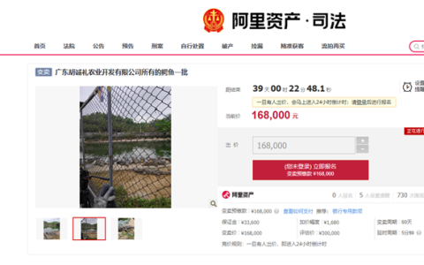 活鳄鱼上架阿里拍卖 公告提示需自行抓捕 网友：不敢拍怕被吃