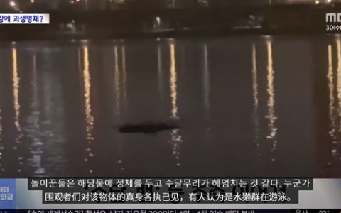 韩国汉江惊现巨型不明物体引恐慌：已有先例 可能又是浮漂