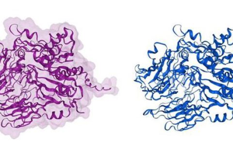 积算科技推出AlphaFold3″即点即用”算力服务，现已开放免费试用