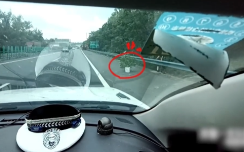 高速车辆故障 拔一堆草当警示牌 司机：三角牌压在下面 不好弄出来