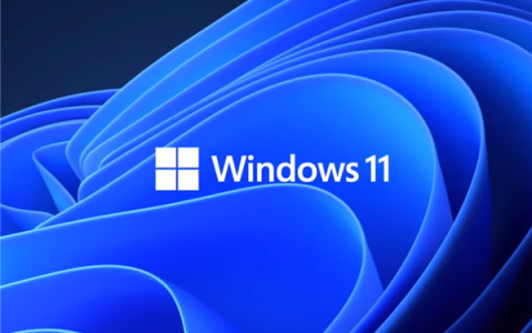 Windows 11用户界面框架WinUI开源：微软公布最新进展！