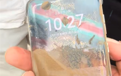 华为Pura 70 Pro掉进黄河：泡水24小时还没关机